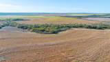 TBD Fm 57, 160 Acres - Photo 8