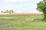TBD Rattler Hill Road - Photo 1