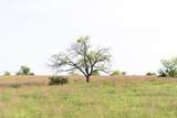 TBD Rattler Hill Road - Photo 6