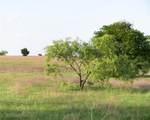 TBD Rattler Hill Road - Photo 7