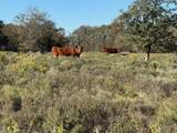 TBD - Lot 88 Blissful Court - Photo 14
