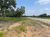 TBD - Lot 88 Blissful Court - Photo 3