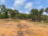 TBD - Lot 88 Blissful Court - Photo 4