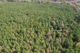 TBD-A Boggy Road - Photo 10