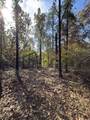 TBD-A Boggy Road - Photo 15