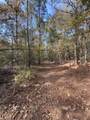 TBD-A Boggy Road - Photo 16
