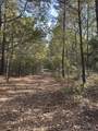 TBD-A Boggy Road - Photo 18