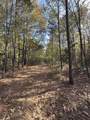 TBD-A Boggy Road - Photo 19