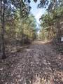 TBD-A Boggy Road - Photo 20