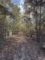 TBD-A Boggy Road - Photo 21