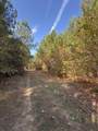 TBD-A Boggy Road - Photo 22