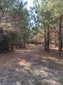 TBD-A Boggy Road - Photo 25