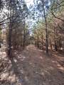 TBD-A Boggy Road - Photo 26