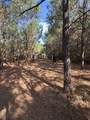 TBD-A Boggy Road - Photo 27