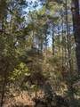 TBD-A Boggy Road - Photo 31