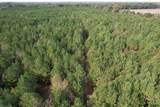 TBD-A Boggy Road - Photo 6