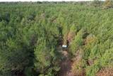 TBD-A Boggy Road - Photo 7