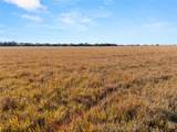 Lot 1 TBD 23+/- ac. New Windsor Parkway - Photo 2