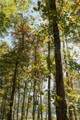 Lot 15 Private Road 5948 - Photo 10