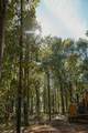 Lot 15 Private Road 5948 - Photo 11