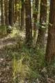 Lot 15 Private Road 5948 - Photo 12