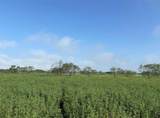 4363 Fm-1126 - Photo 3