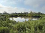 4363 Fm-1126 - Photo 7