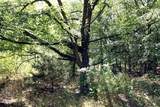 16.72AC Joe Allen Road - Photo 14