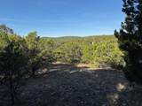 1406 Canyon Trace - Photo 1