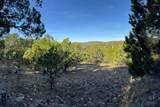 1406 Canyon Trace - Photo 4