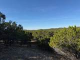 1406 Canyon Trace - Photo 5