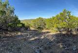 1406 Canyon Trace - Photo 6