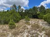 1406 Canyon Trace - Photo 9