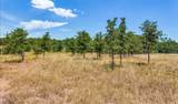 271 Creek Meadow Court - Photo 1
