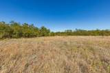 TBD Us Hwy 83 N - Photo 20