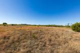 TBD Us Hwy 83 N - Photo 30
