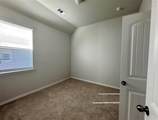 2608 Prickly Pine Trail - Photo 7