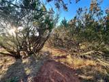 482 County Road 151 - Photo 15