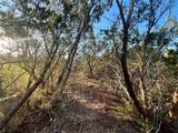 482 County Road 151 - Photo 16