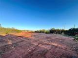 482 County Road 151 - Photo 18