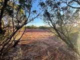 482 County Road 151 - Photo 19