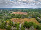 00 Anderson County Road 163 - Photo 2