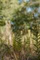 Lot 16 Private Road 5948 - Photo 1