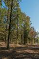 Lot 16 Private Road 5948 - Photo 3