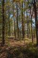 Lot 16 Private Road 5948 - Photo 4