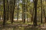 Lot 16 Private Road 5948 - Photo 6