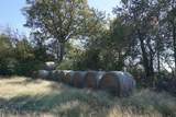 4301 Plainview Road - Photo 3