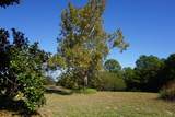 4301 Plainview Road - Photo 7