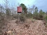 TBD Cactus Rd - Photo 10