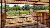 133 Prairie Lane - Photo 37